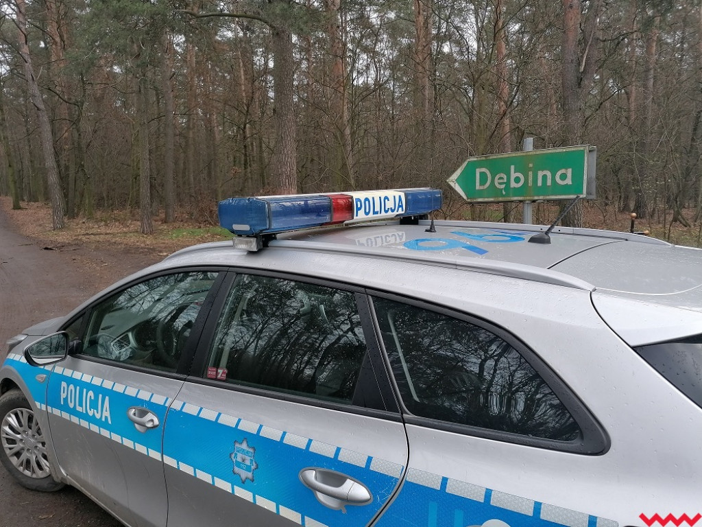 Skąd jest ta choinka? Mundurowi sprawdzają, czy z legalnego źródła