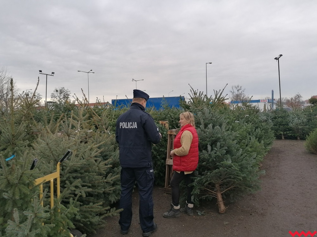 Skąd jest ta choinka? Mundurowi sprawdzają, czy z legalnego źródła