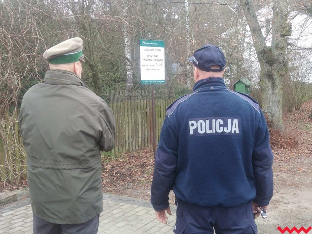 Skąd jest ta choinka? Mundurowi sprawdzają, czy z legalnego źródła