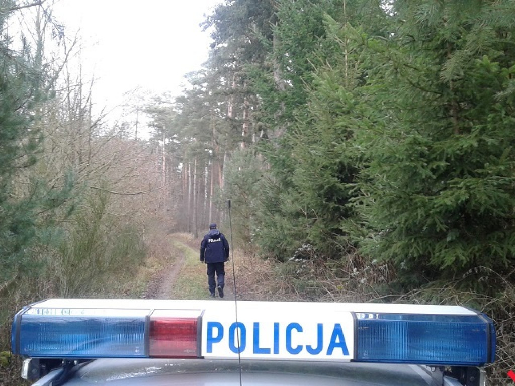 Skąd jest ta choinka? Mundurowi sprawdzają, czy z legalnego źródła