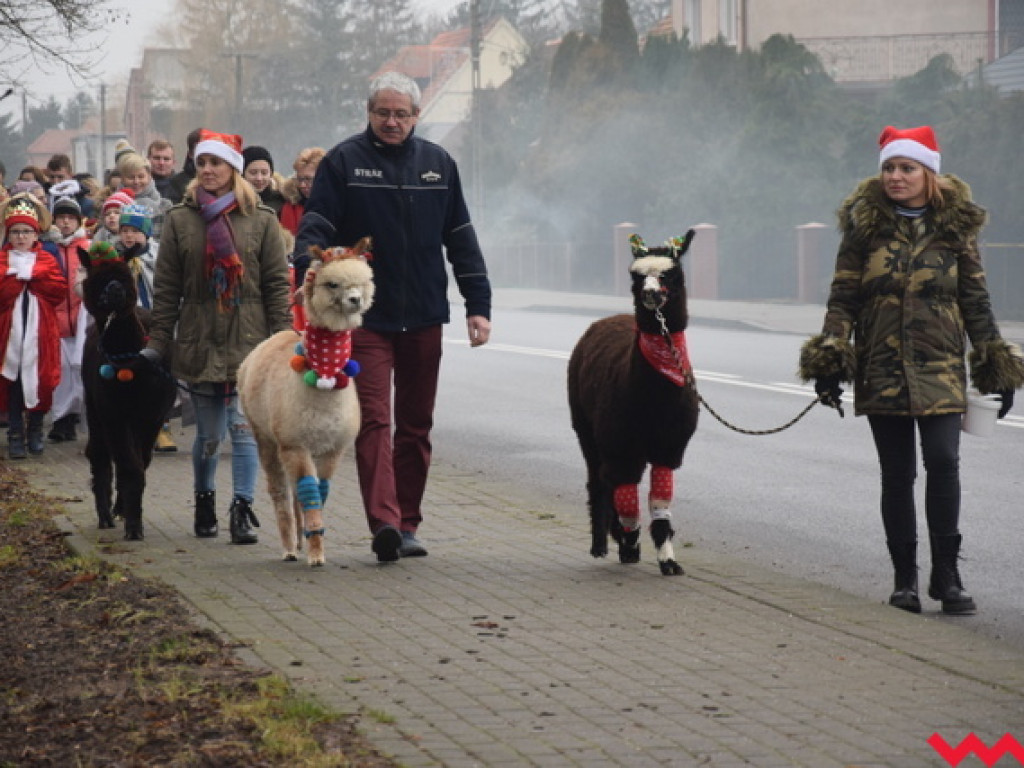 Orszak Trzech Króli w Kołaczkowie – tradycji stało się zadość