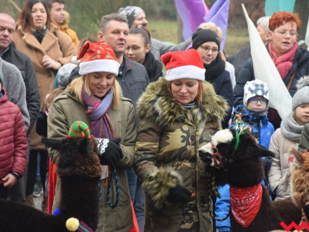 Orszak Trzech Króli w Kołaczkowie – tradycji stało się zadość