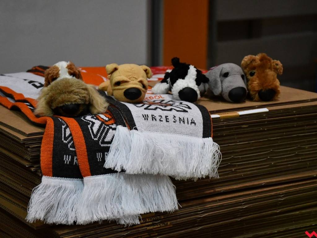 [WOŚP 2020] Biegną po światełko do nieba. Wyruszyła jubileuszowa sztafeta