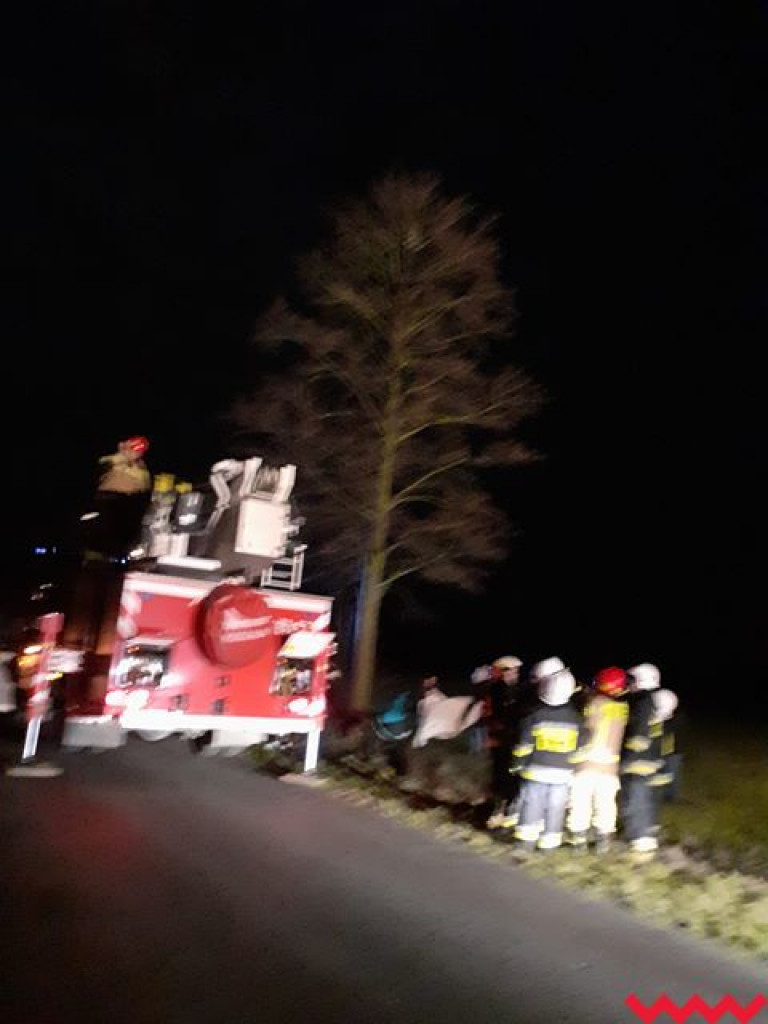 Wrześnianin wyrzucił z busa około 20 kotów. Część nie żyje, część udało się uratować. Kontynuacja akcji ratowniczej rano