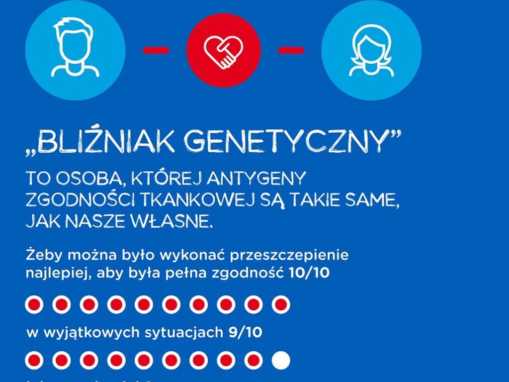 Transplantacja szpiku – co warto o niej wiedzieć?