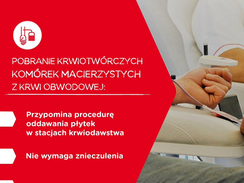 Transplantacja szpiku – co warto o niej wiedzieć?