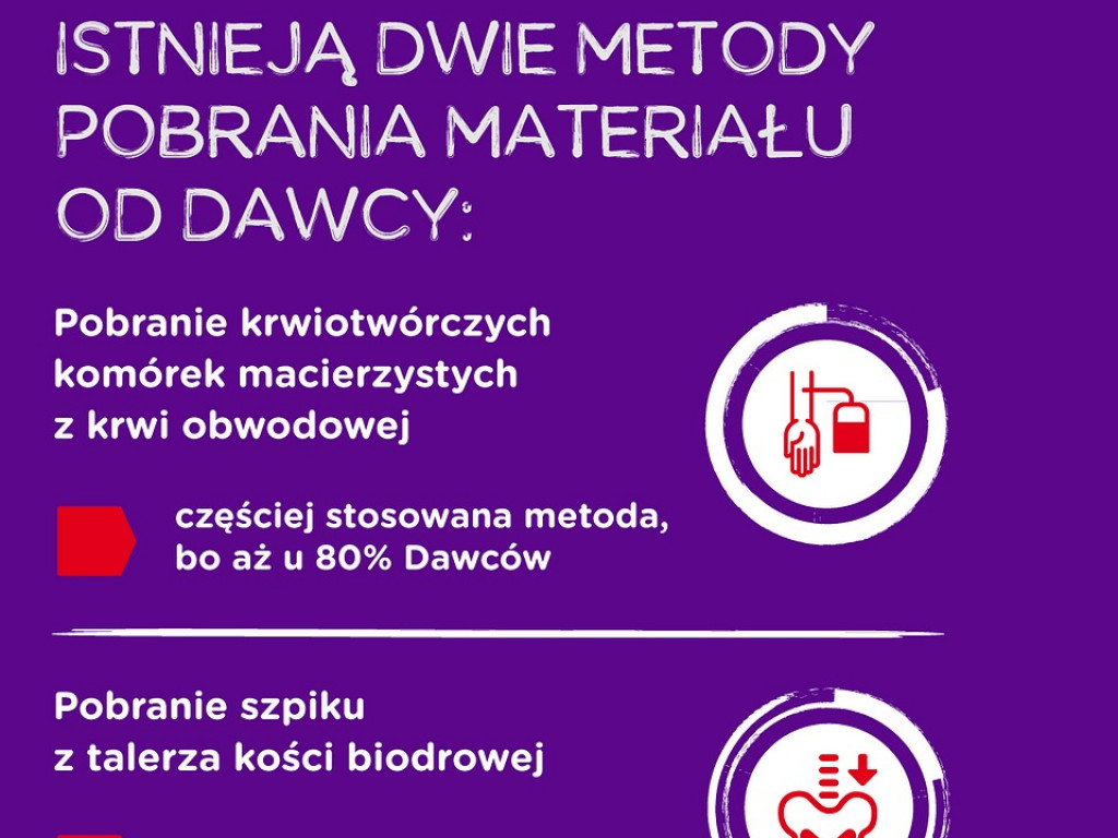 Transplantacja szpiku – co warto o niej wiedzieć?