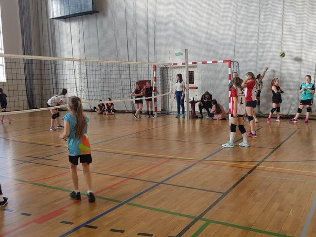Licznie obsadzony turniej mini siatkówki we Wrześni