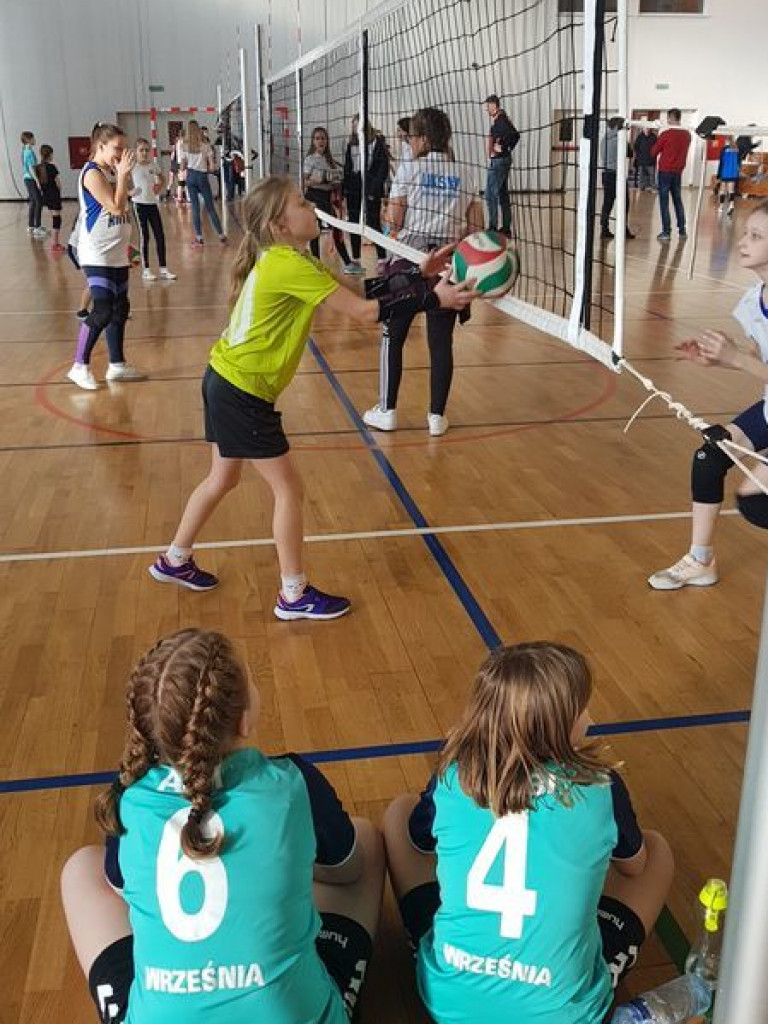 Licznie obsadzony turniej mini siatkówki we Wrześni