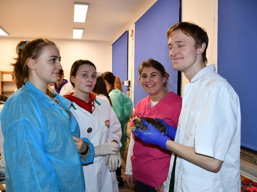 Nietypowe zajęcia w technikum weterynaryjnym. Ujrzeć wnętrze pytona