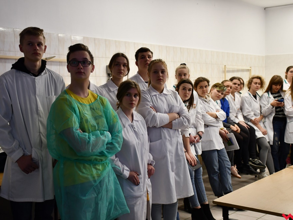 Nietypowe zajęcia w technikum weterynaryjnym. Ujrzeć wnętrze pytona