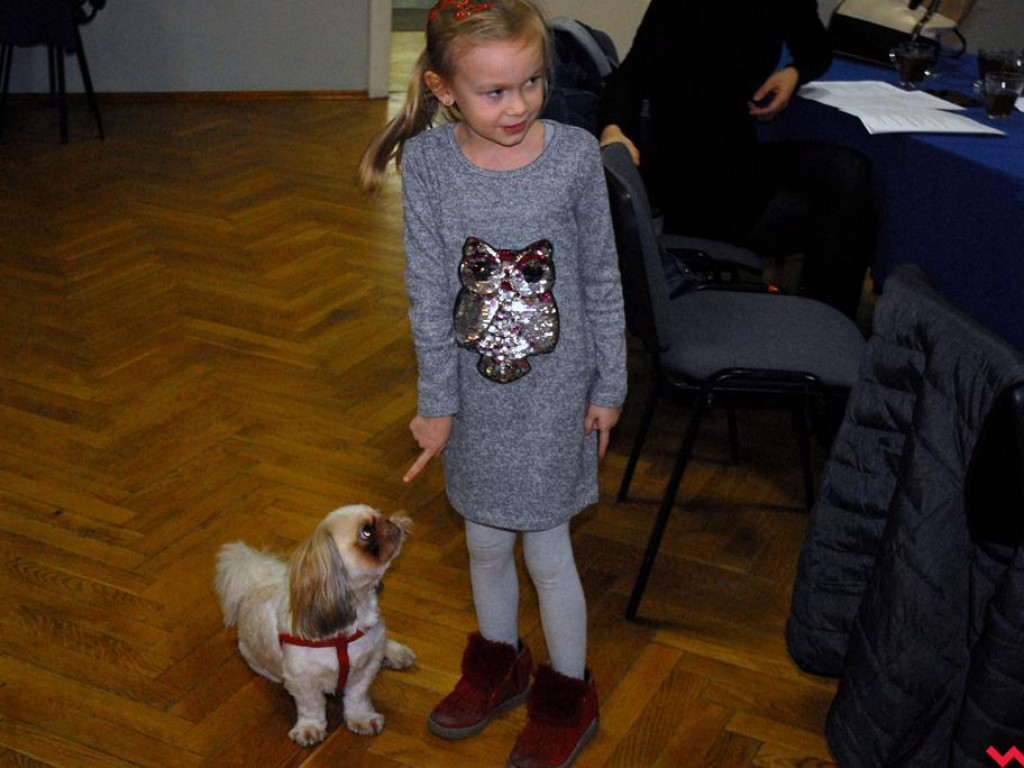 Bardzo Nieformalna Grupa Artystyczna zagra dla Zosi