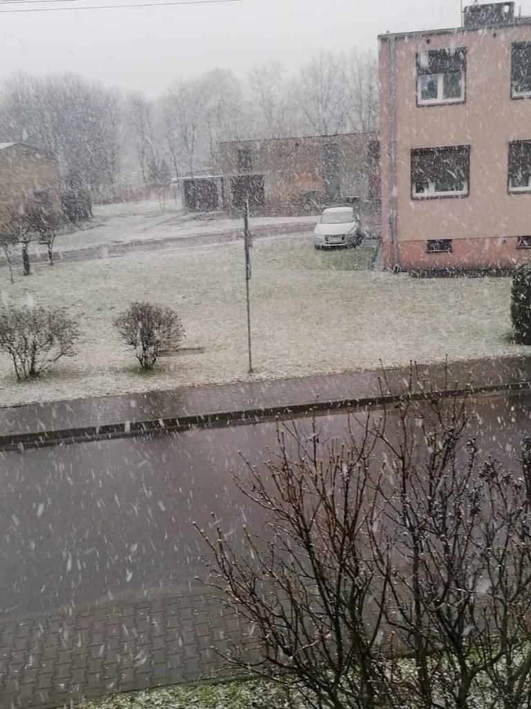 Spadł pierwszy śnieg. Dzieci w siódmym niebie