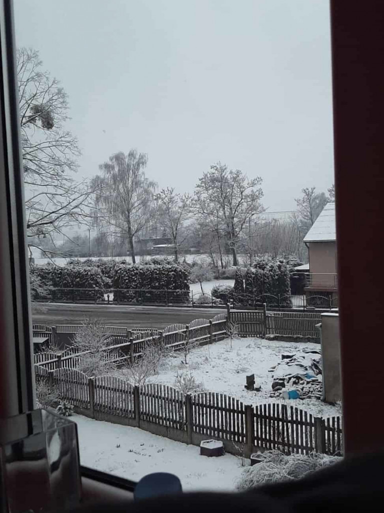 Spadł pierwszy śnieg. Dzieci w siódmym niebie