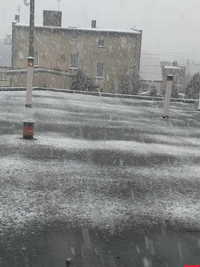 Spadł pierwszy śnieg. Dzieci w siódmym niebie