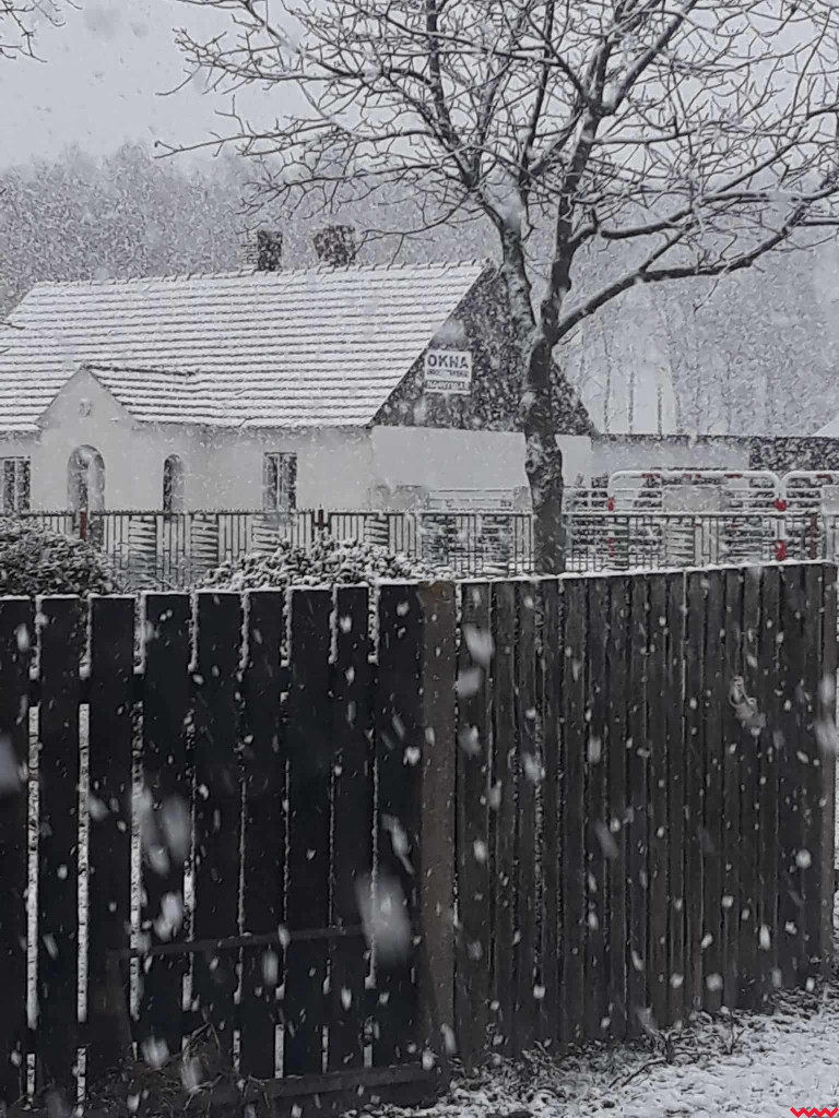 Spadł pierwszy śnieg. Dzieci w siódmym niebie