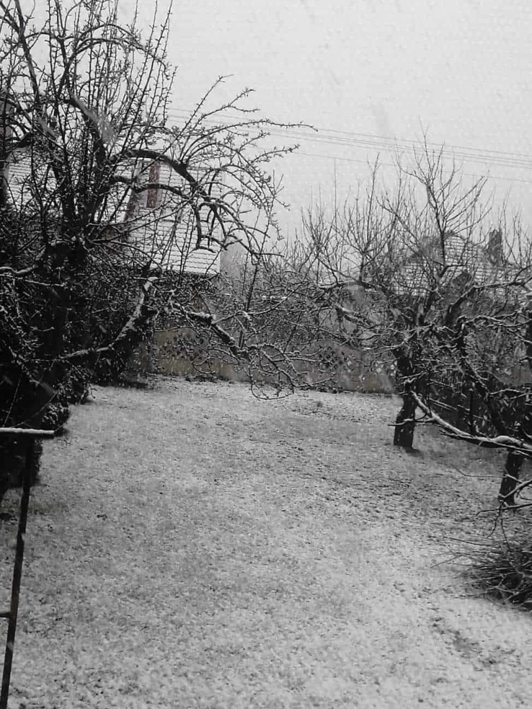 Spadł pierwszy śnieg. Dzieci w siódmym niebie