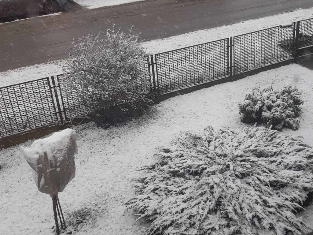 Spadł pierwszy śnieg. Dzieci w siódmym niebie