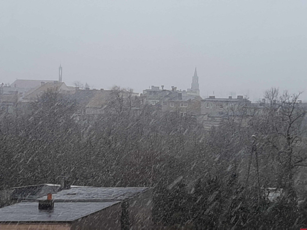 Spadł pierwszy śnieg. Dzieci w siódmym niebie