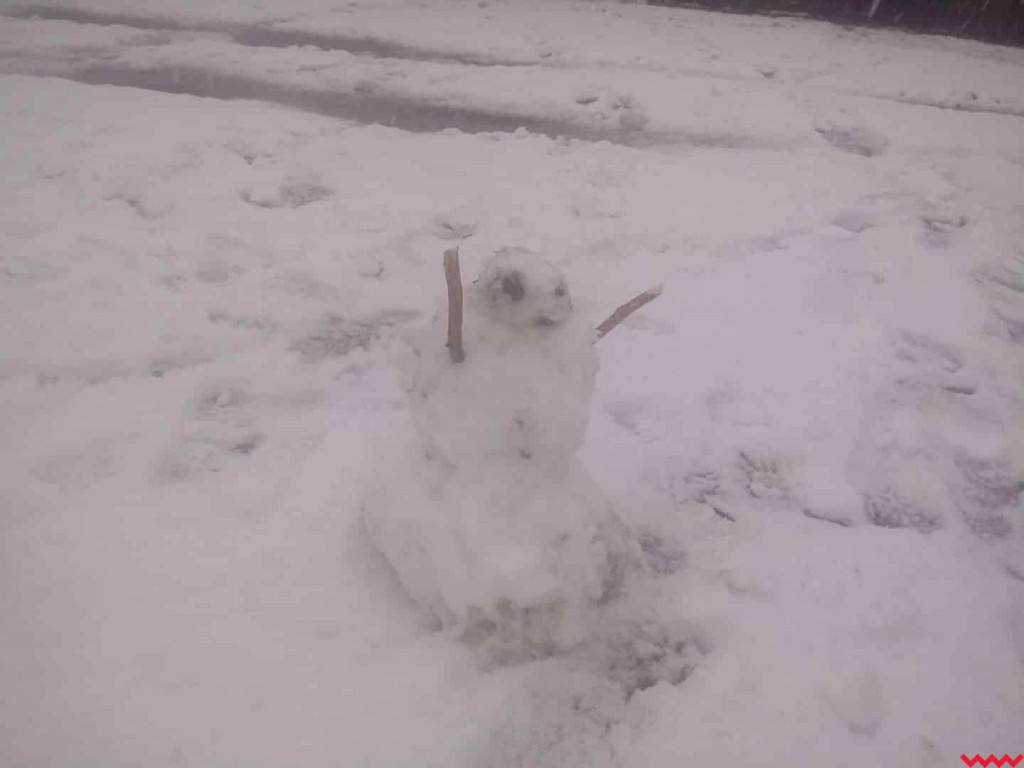 Spadł pierwszy śnieg. Dzieci w siódmym niebie