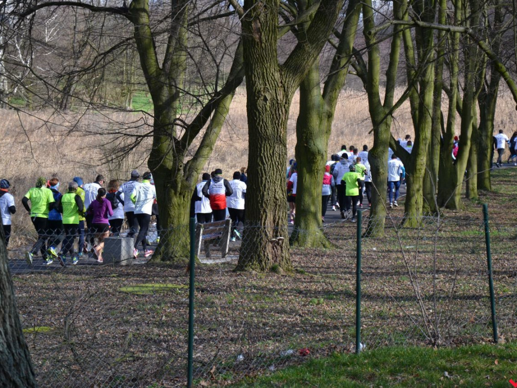 Bieg Tropem Wilczym przerasta oczekiwania. Setki na trasie w hołdzie Wyklętym
