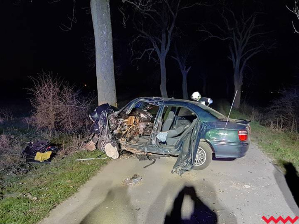 Samochód uderzył w drzewo. Kierowcę z wraku wyciągnęli strażacy