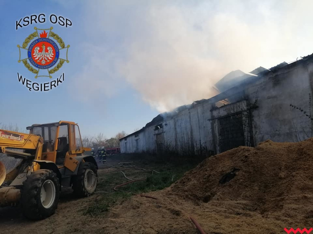 Groźny pożar w fabryce pelletu. Spaliła się cała hala, zawalił się dach