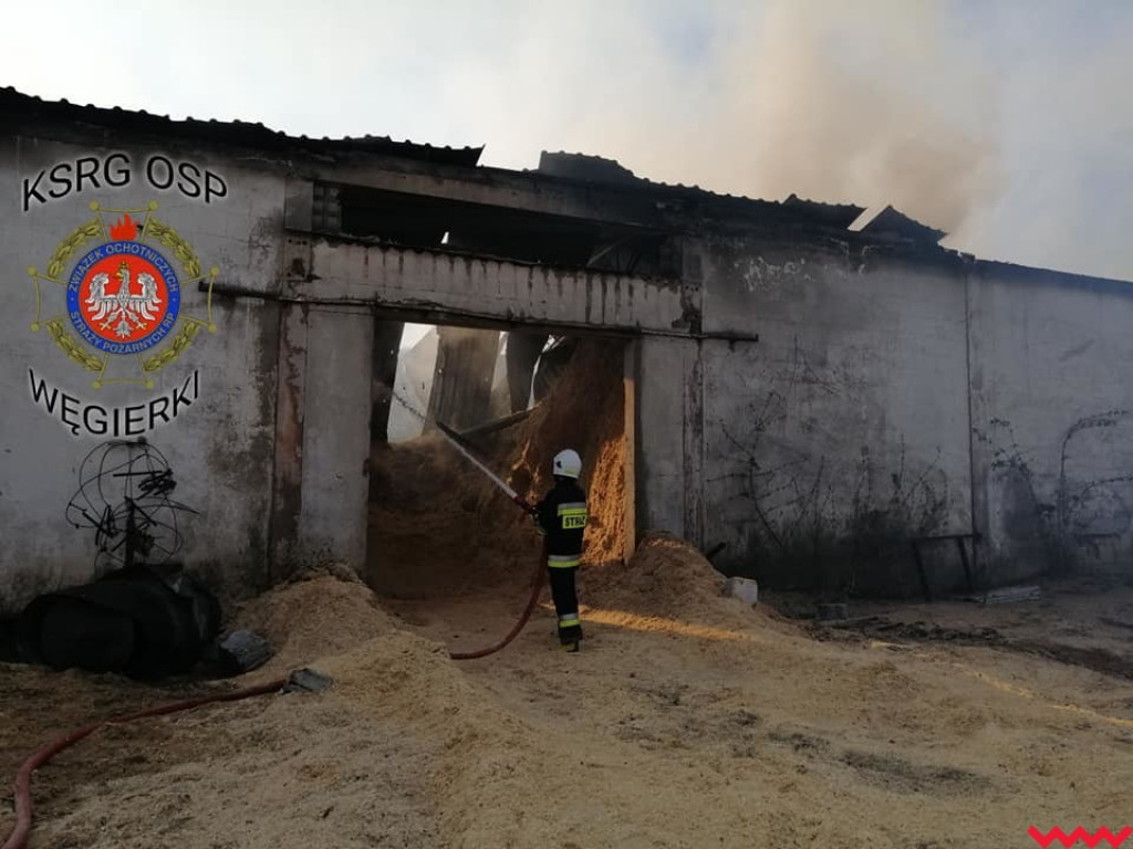 Groźny pożar w fabryce pelletu. Spaliła się cała hala, zawalił się dach