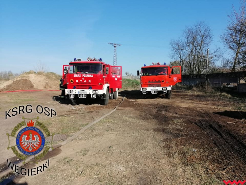 Groźny pożar w fabryce pelletu. Spaliła się cała hala, zawalił się dach