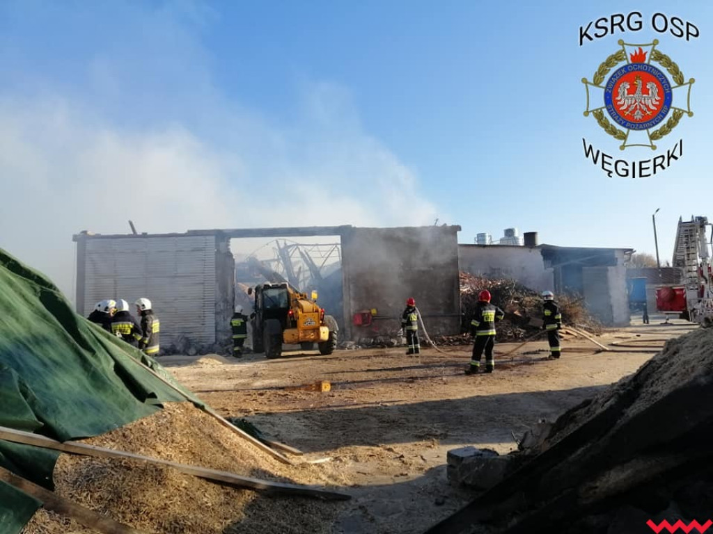 Groźny pożar w fabryce pelletu. Spaliła się cała hala, zawalił się dach