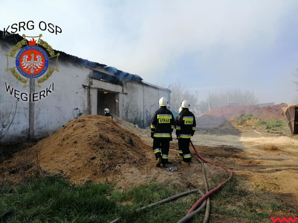 Groźny pożar w fabryce pelletu. Spaliła się cała hala, zawalił się dach