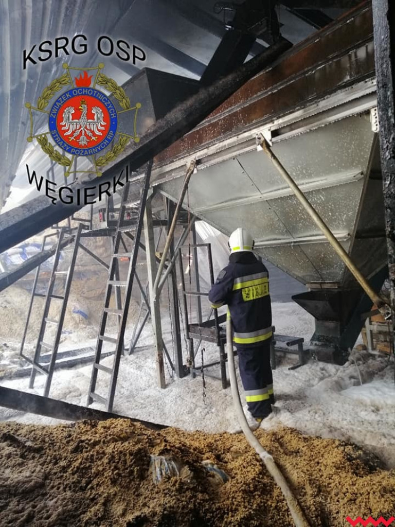 Groźny pożar w fabryce pelletu. Spaliła się cała hala, zawalił się dach