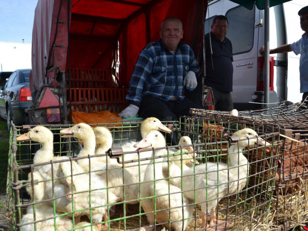 Taniej, zdrowiej, weselej. Tak wyglądał wrzesiński targ w czasach przed epidemią