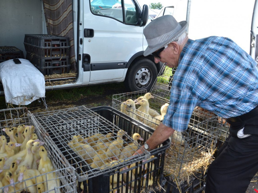 Taniej, zdrowiej, weselej. Tak wyglądał wrzesiński targ w czasach przed epidemią