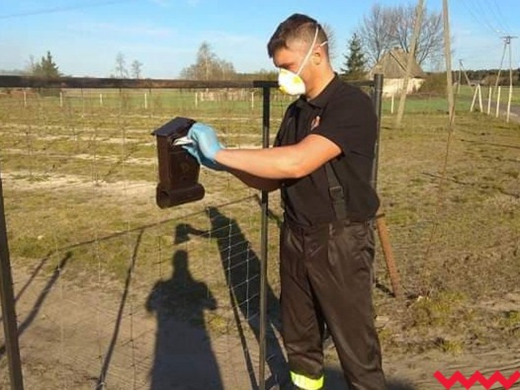 Maseczki już trafiły do seniorów w gminie Pyzdry