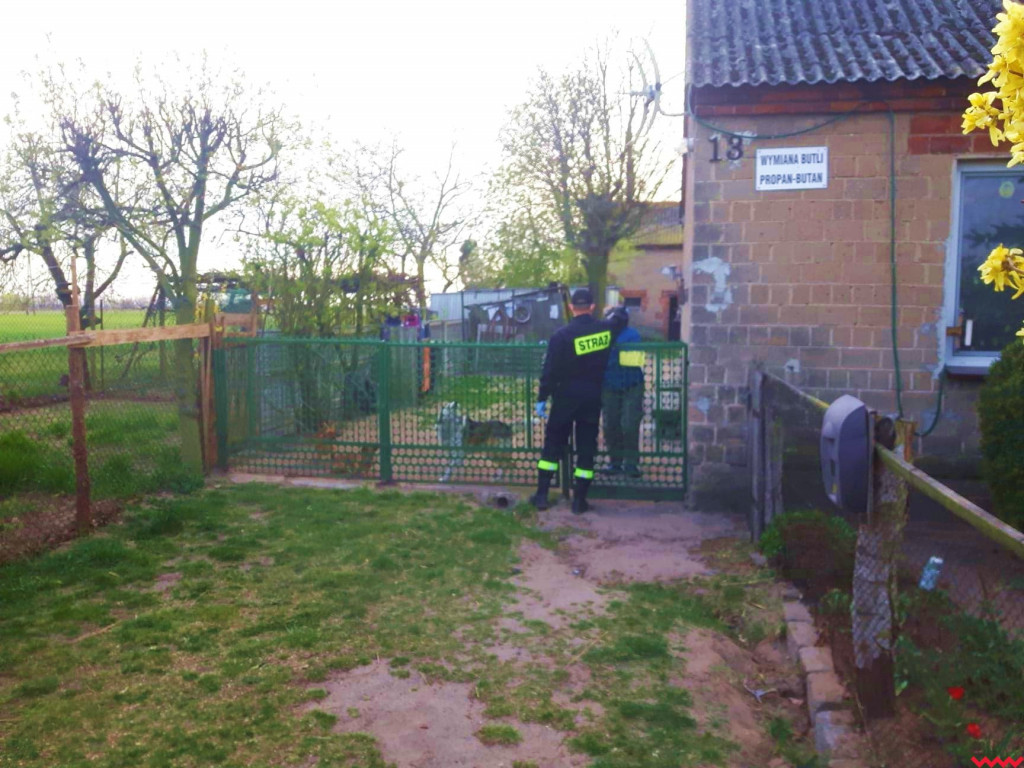 Maseczki już trafiły do seniorów w gminie Pyzdry