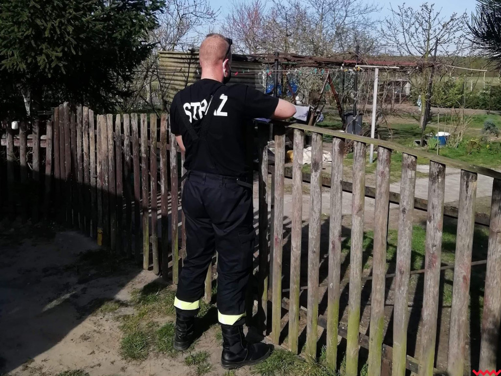 Maseczki już trafiły do seniorów w gminie Pyzdry