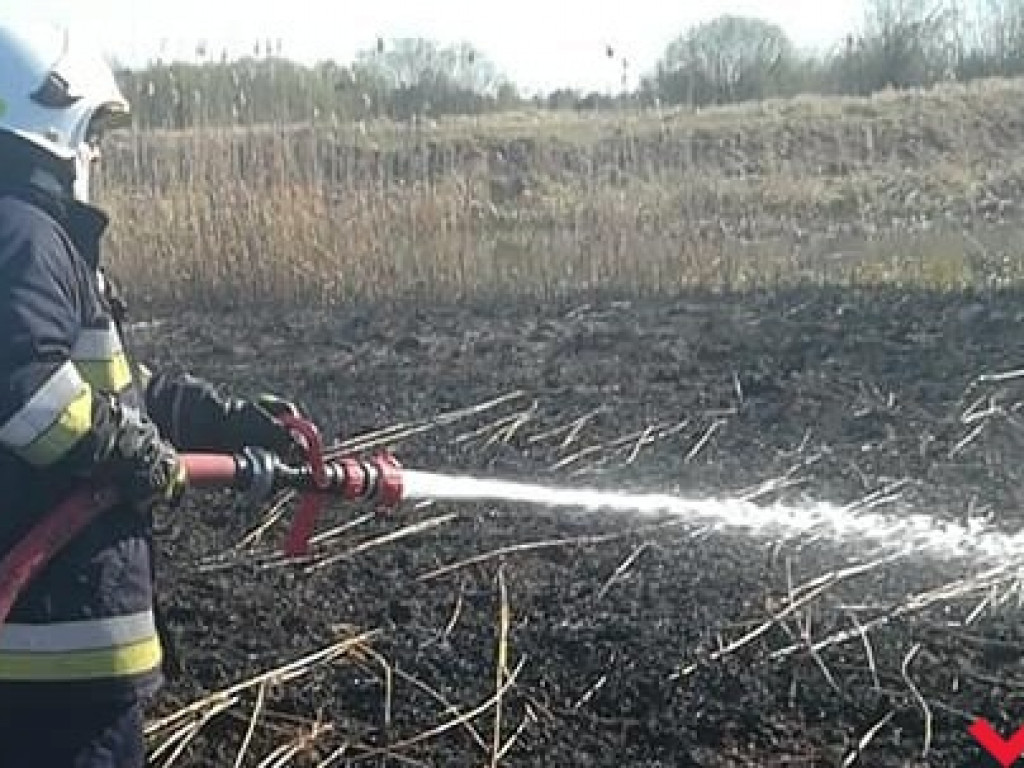 Susza daje się we znaki. Strażacy gasili płonące trawy i trzciny w okolicach Pyzdr