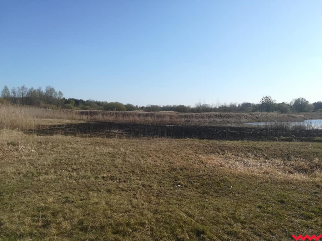 Susza daje się we znaki. Strażacy gasili płonące trawy i trzciny w okolicach Pyzdr