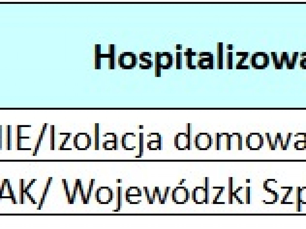 Kolejne zakażenia w powiecie gnieźnieńskim i pleszewskim