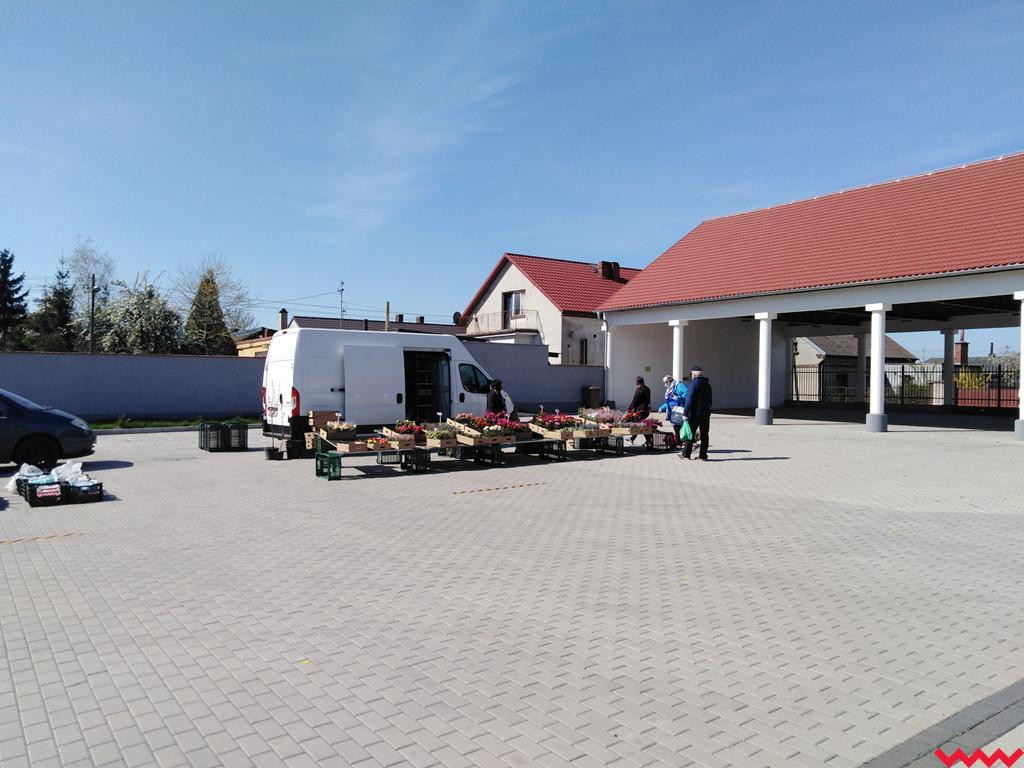 Targowisko „Mój Rynek” w Pyzdrach otwarte na nowych zasadach