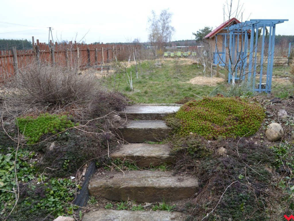 Przytulić się do ziemi. Z wizytą w ogrodzie permakulturowym państwa Woźniaków