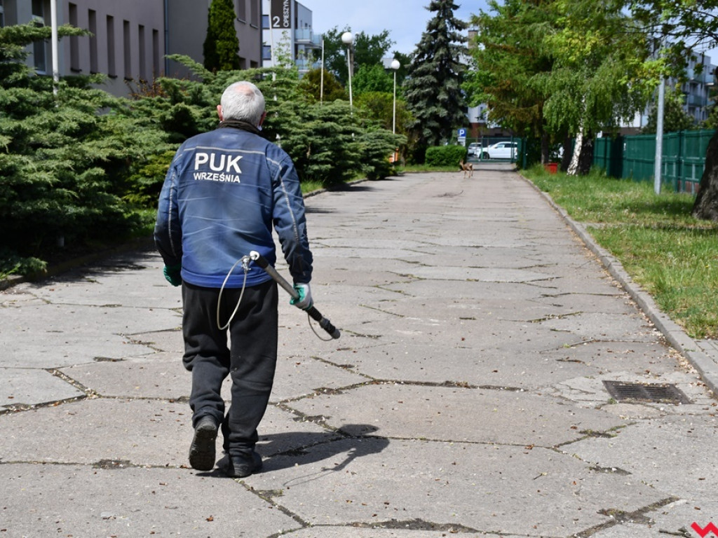 Obława na koziołka w Zespole Szkół Technicznych i Ogólnokształcących
