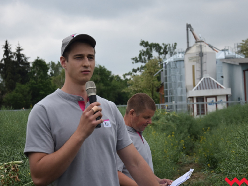 Jak rzepak i zboża zachowały się w czasie suszy? Dni Pola w Sędziwojewie