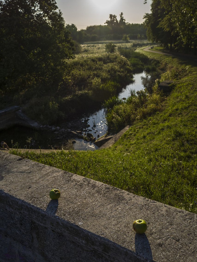 „Świt” Tadeusza Rolke i Chrisa Niedenthala. Wernisaż Kolekcji Wrzesińskiej z obostrzeniami