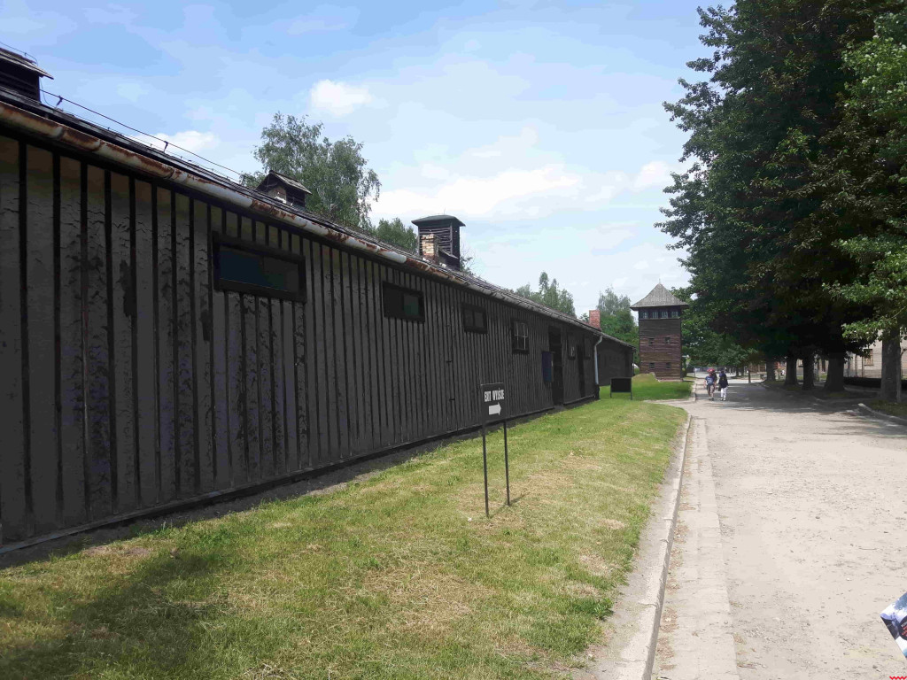 80 lat od obozu Auschwitz. Poznaj historię wrześnianki, która trafiła do piekła