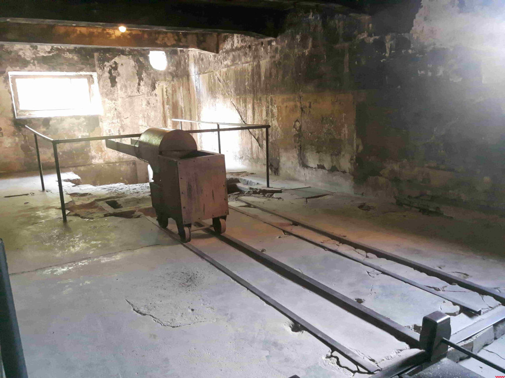 80 lat od obozu Auschwitz. Poznaj historię wrześnianki, która trafiła do piekła