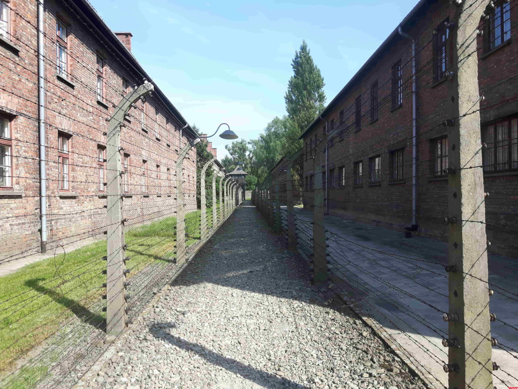 80 lat od obozu Auschwitz. Poznaj historię wrześnianki, która trafiła do piekła