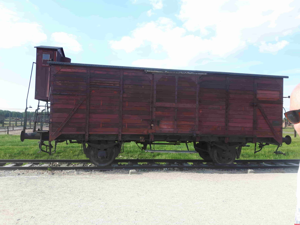 80 lat od obozu Auschwitz. Poznaj historię wrześnianki, która trafiła do piekła