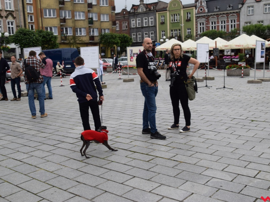 „Świt” zaświtał na wrzesińskim rynku. Mistrzowie fotografii pokazali jak widzą miasto